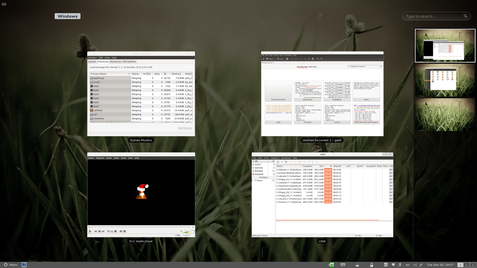 cinnamon-gnome-shell