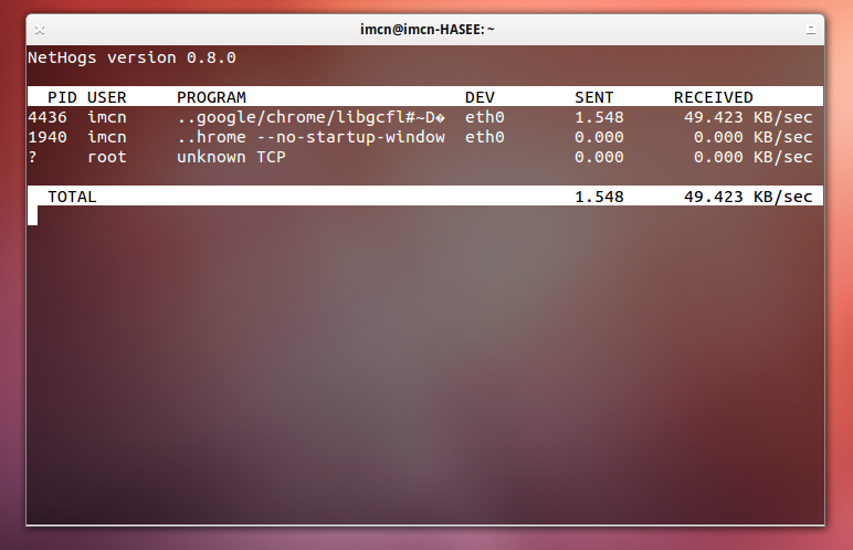ubuntu-nethogs080