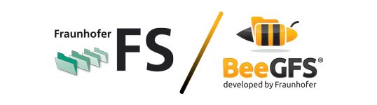 BeeGFS