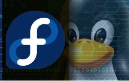 红帽子发行面向用户的Linux新版本Fedora 27红帽子发行面向用户的Linux新版本Fedora 27