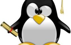 我与Linux系统的交集