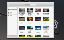 好消息！Linux Mint 19 Beta 版本发布好消息！Linux Mint 19 Beta 版本发布