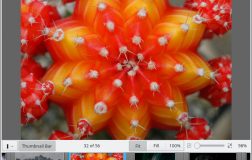 KDE Applications套件更新18.08版，或带新特性KDE Applications套件更新18.08版，或带新特性