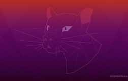 Ubuntu 20.04默认壁纸